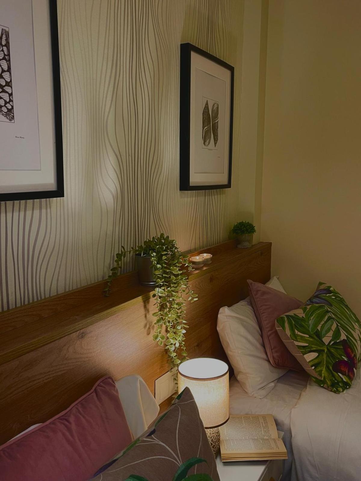 Viento Freshapartments Málaga Dış mekan fotoğraf